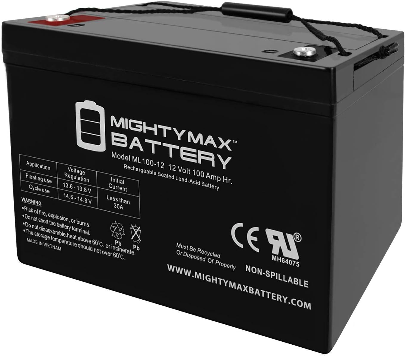 ML100-12 - 12 Volt 100 AH, Internal Thread